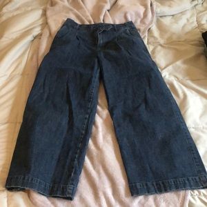 Madewell Denim Pleated Wide Leg Jeans